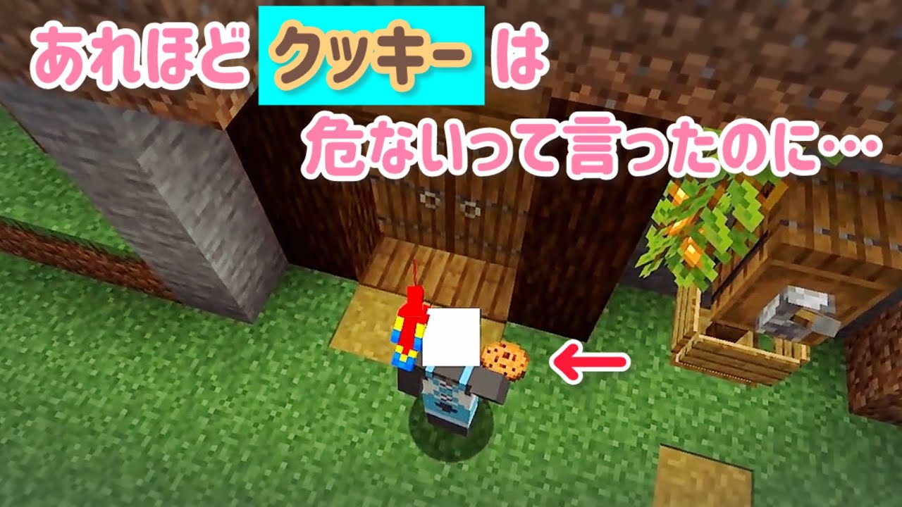 【✂️さかいさんだーちゃん切り抜き】小野さんを探す旅にでたら悲しい事故がおきました…🦜🦜🦜