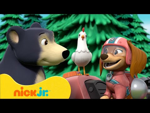 Щенячий патруль Щенки из Щенячьего патруля знакомятся с Котостаей Nick Jr Cyrillic