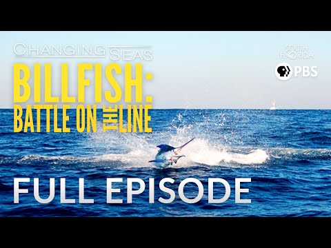 Billfish: Battle on the Line? - Full Episode