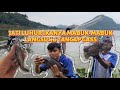 BERBURU IKAN DAN UDANG LOBSTER AIR TAWAR DI JATI LUHUR PURWAKARTA IKANNYA MABUK”😍