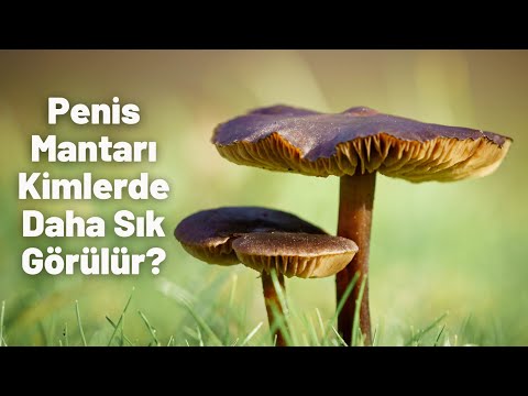 Penis Mantarı Kimlerde Daha Sık Görülür?