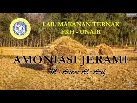 Video: Cara Menenun Dari Jerami