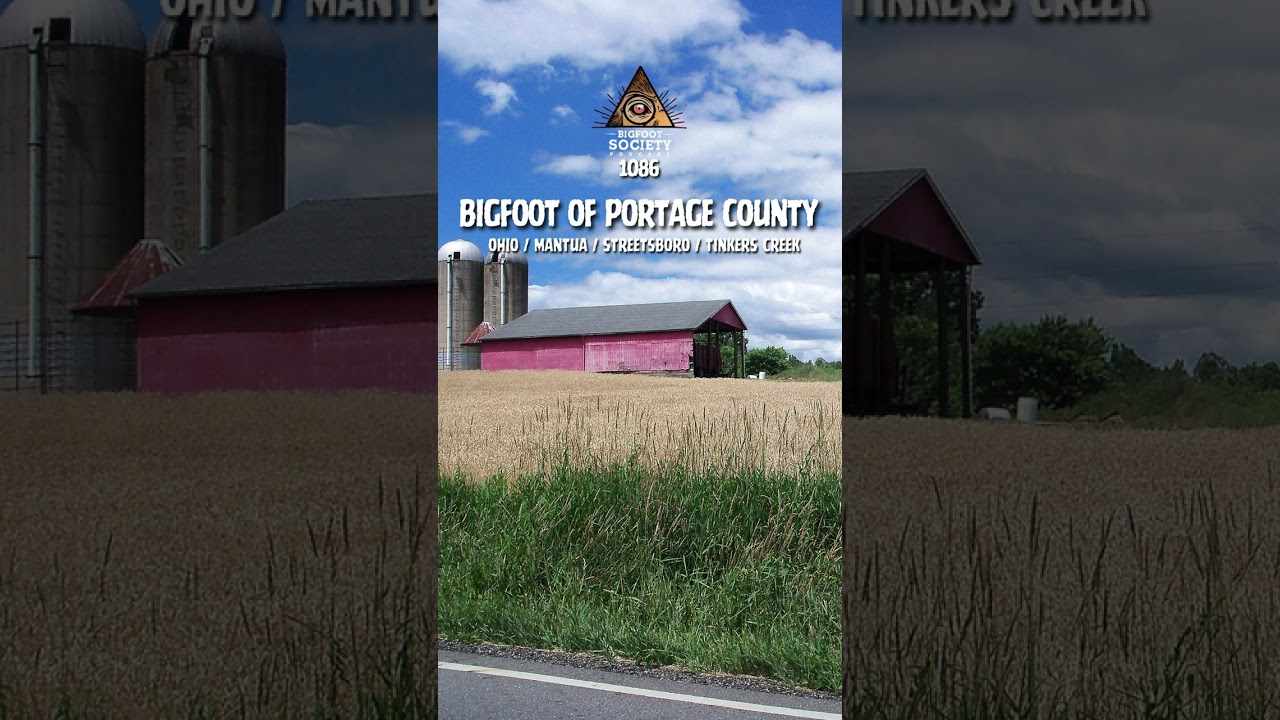 Years before anyone called it an Ohio Bigfoot flap… people were already seeing something