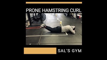 Banded Prone Hamstring Curl