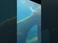 Cute Girls Exploring the Alaska SeaLife Center in Seward, Alaska #shorts #sealifecenter #seward #fun