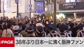 大阪の阪神ファン mqdefault.jpg
