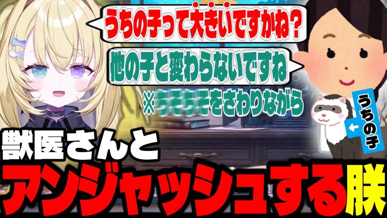 【切り抜き】【雑談】世界一不幸な美少女の話、アンジャッシュする朕と獣医さん【メーメントヴァニタス】