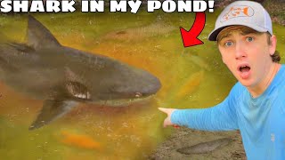 I Caught a Shark in My Pond! by Bass fishing Productions 3,655,000 views 5 months ago 25 minutes