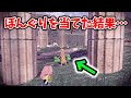 【第2弾】レジェンズアルセウスに隠された小ネタ7選