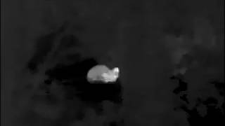 Lahoux Spotter Pro 35 Warmtebeeldkijker - Wapenhandel Kuiper