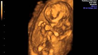IMG 20120730 1 13 VolCine