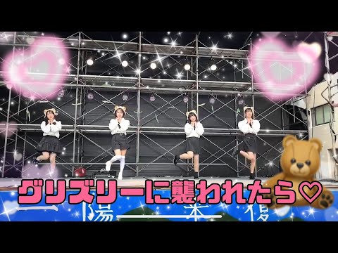 グリズリーに襲われたら♡/神宿【Syny.jpd 大阪大学 いちょう祭 2023】