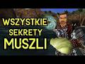 99% GRACZY NIE WIE TEGO O MUSZLACH W GOTHIC