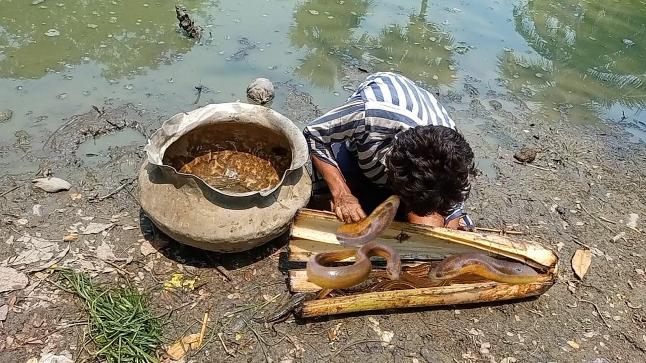 It is Possible Eel Fishing With banana tree,The Village Pond Side Amazing Eel Fishing Video