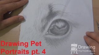Drawing Pet Portraits Part 4 – Adding Texture to the Fur screenshot 4