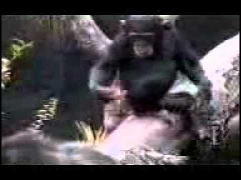 Лас Джек секс клиникасы бойынша шолу