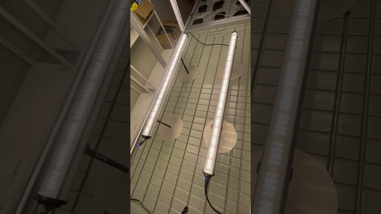 Under-canopy and side lighting technique 