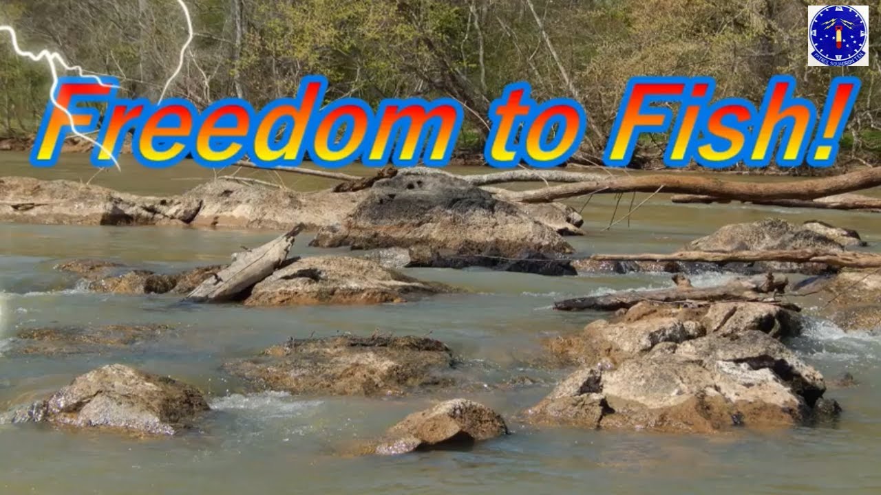 ROCKFISH SEASON 2020 ROANOKE RIVER YouTube