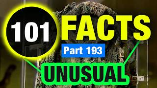 101 Incomprehensible Facts That Will Surprise You