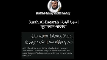 Surah Baqarah ayat 14 | Mishary Rashid Alafasy | سورة البقرة آية ١٤