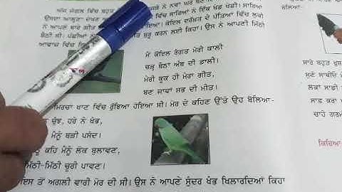 EVS Class-3rd ਪਾਠ-8 ਪੰਛੀਆਂ ਦੀ ਦੁਨੀਆਂ