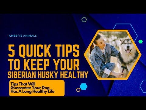 5 QUICK TIPS