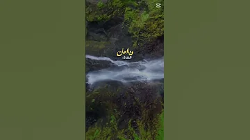 يا ملاذ الهاربين 
