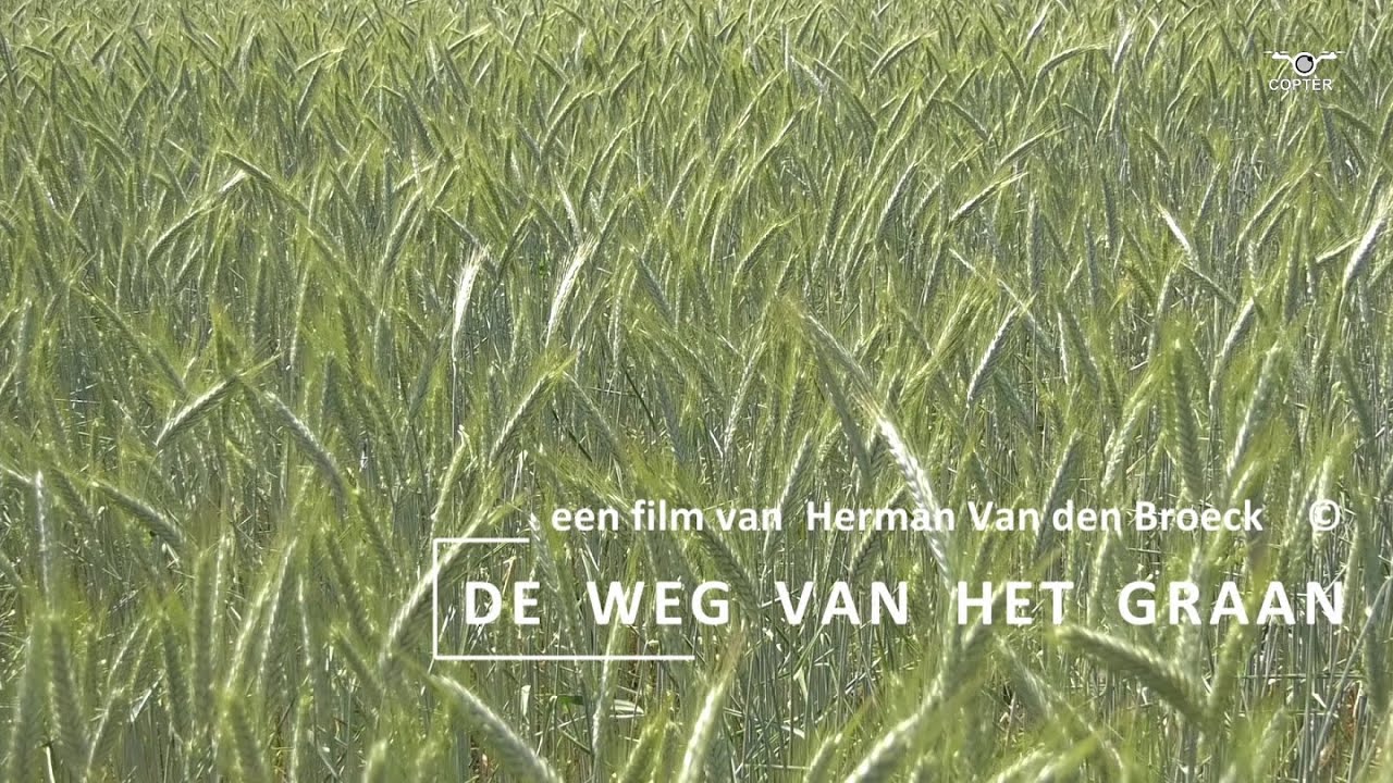 de weg van het graan - YouTube