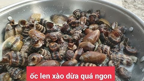 vào rừng bắt ốc len xào dừa quá ngon@đậmchấtmiềntây913