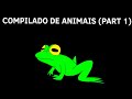 Compilado de animais 1
