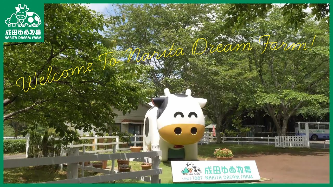 Narita cute animals Channel【Narita Dream Farm】 - YouTube