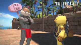 【FF14】 メインクエと魔獣使いきましたねぇー
