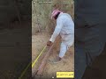 ابو صالح الحمدان يقوم بقطع او قص الاثل والحديث عن شجرة الاثل من سنابي snap:iboiws