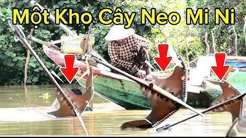 Thợ Lặn Mò Trúng Ngây Một Kho Cây Neo Mi Ni Nằm Dòng Nước Chảy Xiết,,,,,,,,,,,,,, Youtube Lây 67,,,,