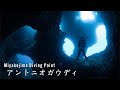 アントニオガウディ【宮古島ダイビングポイント】 - Miyako island diving site