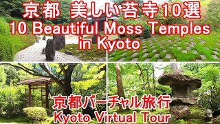 【極上の京都】眩いばかりの苔が美しい京都の寺10選 / 10 Beautiful Moss Temples in Kyoto with Bach