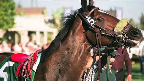 Ron & Fez - "May The Horse Be With You" Game Show