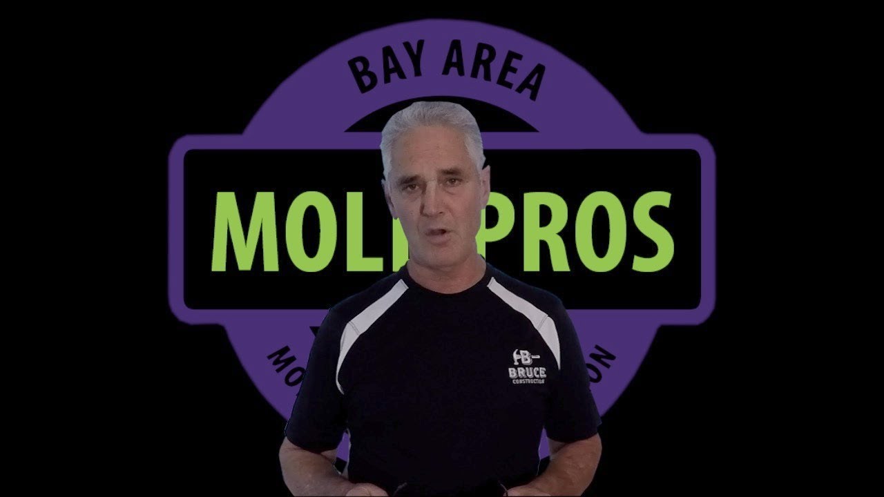 ⁣Leaky Toilet? Mold Pro can Help!