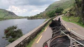 The Gap of Dunloe via Pony and Trap
