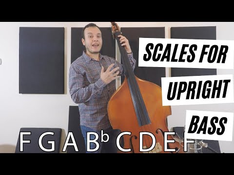 Bass guitar major scales