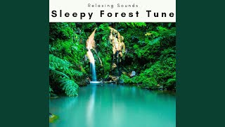 Nature Soft Music for Subtle REM Phase pt. 4 screenshot 2
