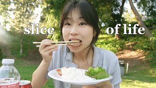 Slice of Life: korean food at park, karaoke with friends, & brothers graduation