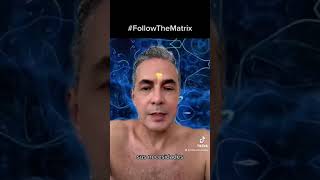 La empatía by Follow The Matrix - Community -. 5 views 11 months ago 1 minute, 57 seconds