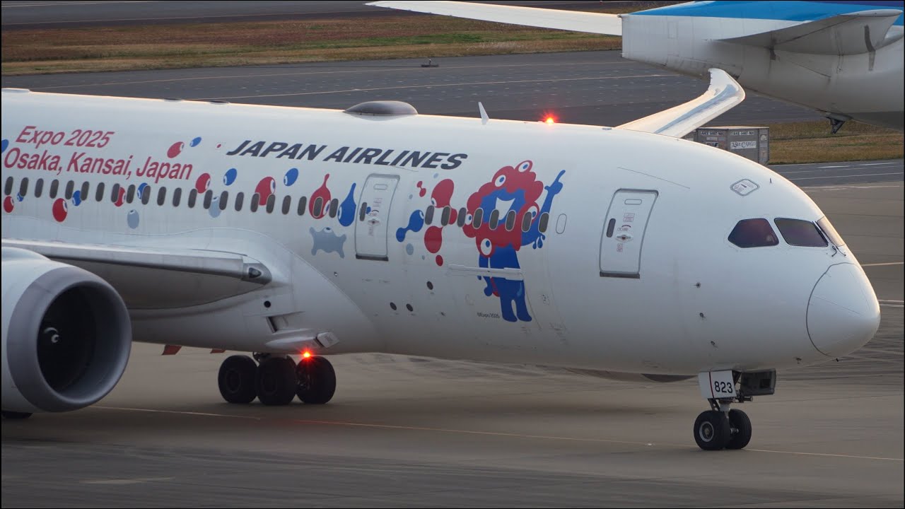JAL EXPO 2025 Osaka Livery Boeing 787-8 JA823J Landing at Tokyo