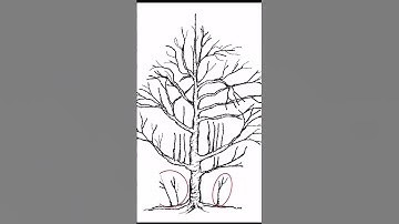 Crown Cleaning Pruning short