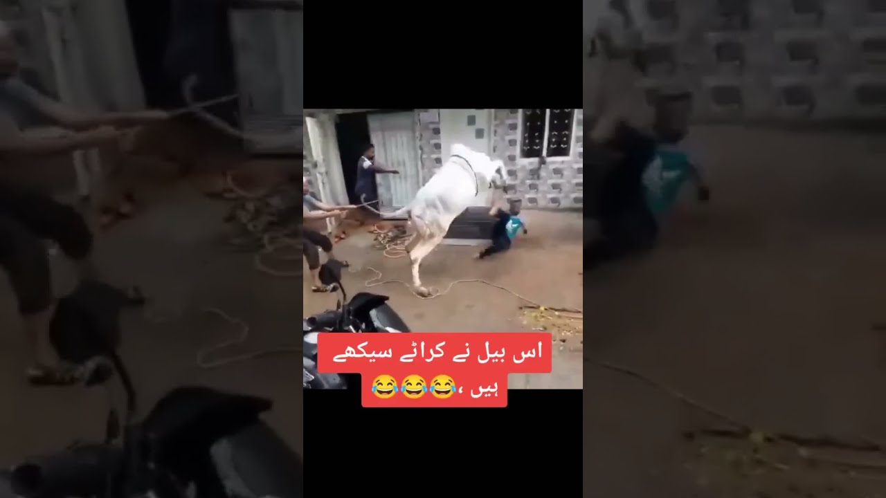 Full Hitting And No Compromise Fyp Funny
