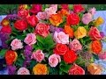 Cómo hacer arreglos Florales con Rosas - TvAgro por Juan Gonzalo Angel