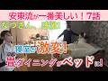 【7話】なつさん、感激！寝室が激変！畳ダイニングがベッドに！※親の家の片付けセミナー　６月14日（日）