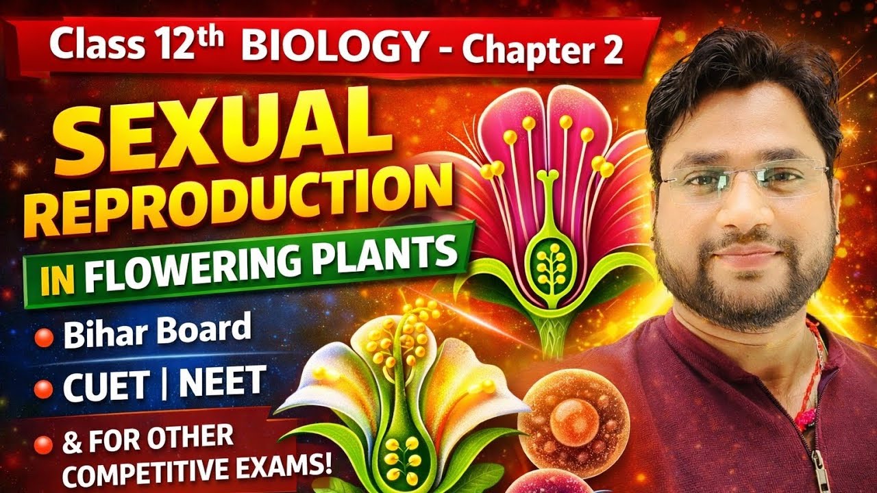 Sexual Reproduction in Flowering Plants Explained | Class 12 Biology Ch ...