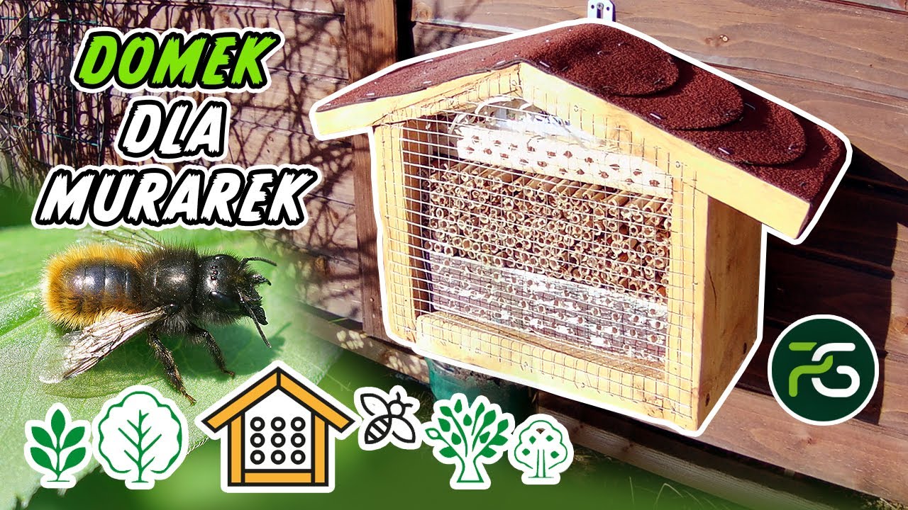 Zbuduj DOMEK dla MURAREK ogrodowych 